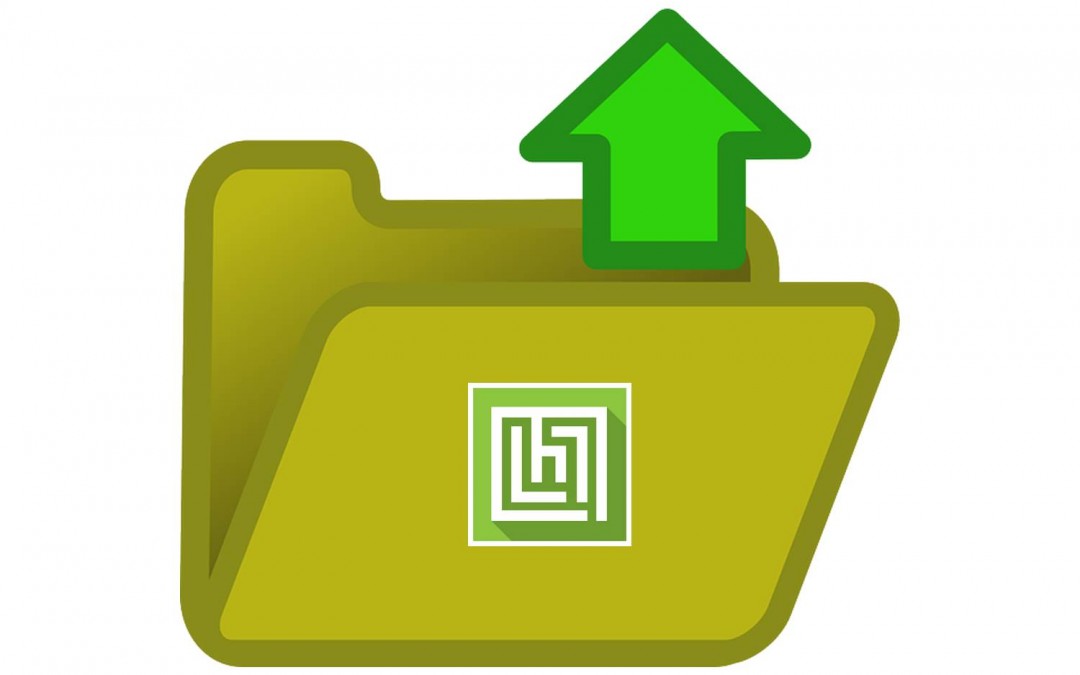 Moodle LMS and Large Files