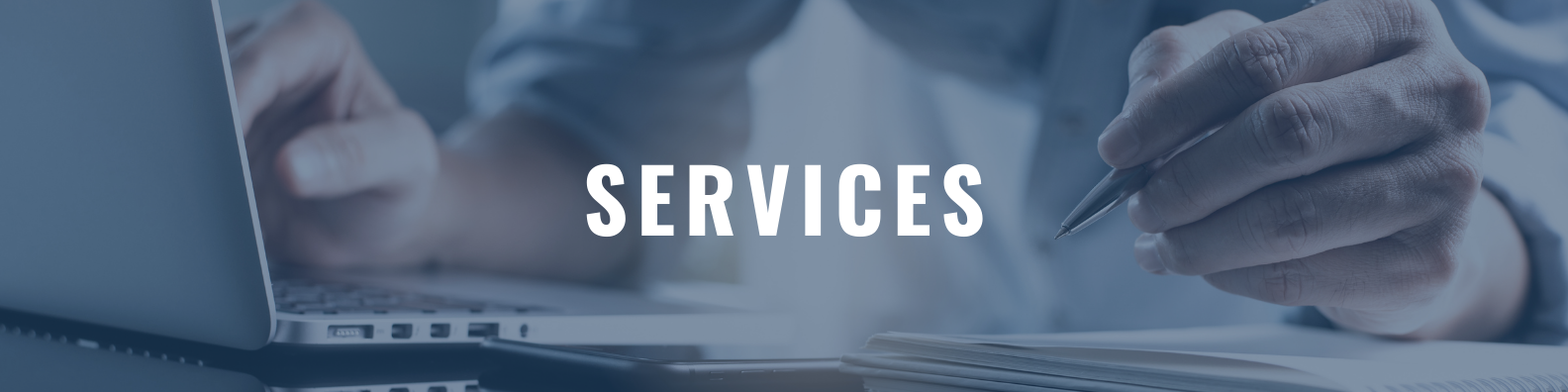 Header banner that says services - eLearning development services